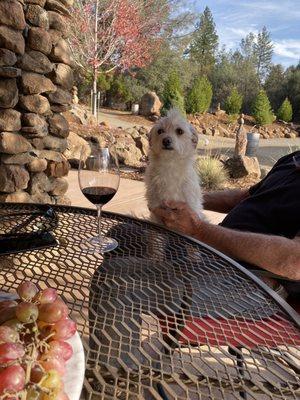 Paul and one of his sweet rescue dogs.