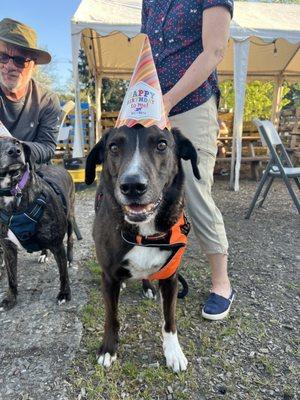 Shout out to All the Best Pet Care in Kirkland. Dakotah, Aleen and Lynn helped us throw a party!