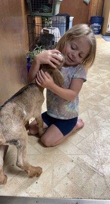 Matilda (Doctor Walton's goat) and Allie