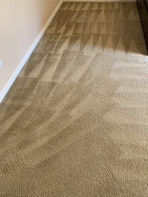 My carpets after cleaning!