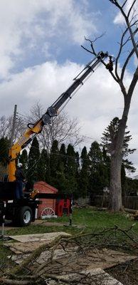 New Crane is here!