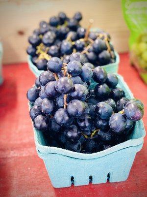 Delicious grapes, locally harvested.