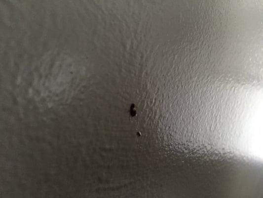 Dead baby roach stuck to wall. It's at head level when your on the back massage machine