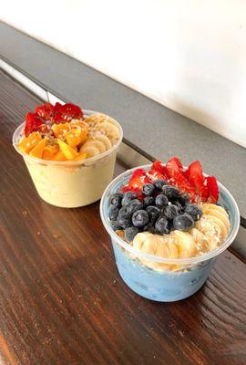 Ocean Dream Bowl & Tropical Bowl