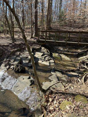 The creek running through the reserve