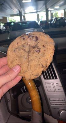 Chocolate chip cookie