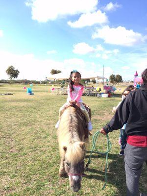 Pony rides