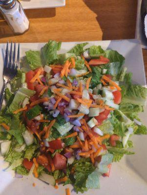 Garden Salad! Look how huge it is!