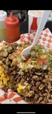 Carne asada fries