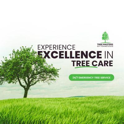 Tree Masters of Tennessee is a family-owned company with over 20 years of expertise in the tree care industry.