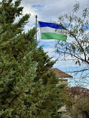 10.06.24 flag of Molossia