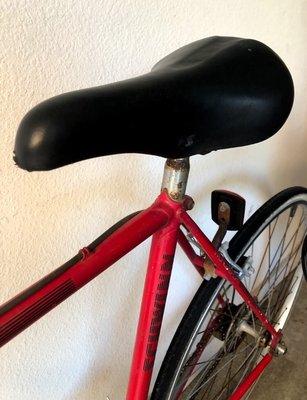 Rusted seat post and reflector bracket