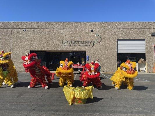 grand opening - dragon dance