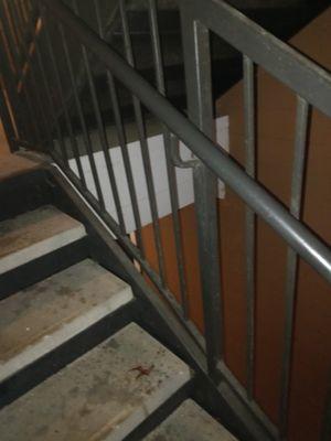 Filthy Breezeways and stairways in all buildings that have not been pressured washed in two years!