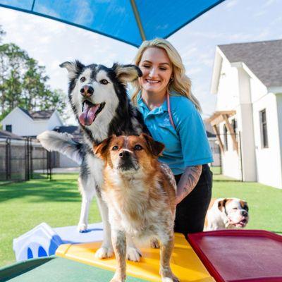 Pet Paradise Mooresville