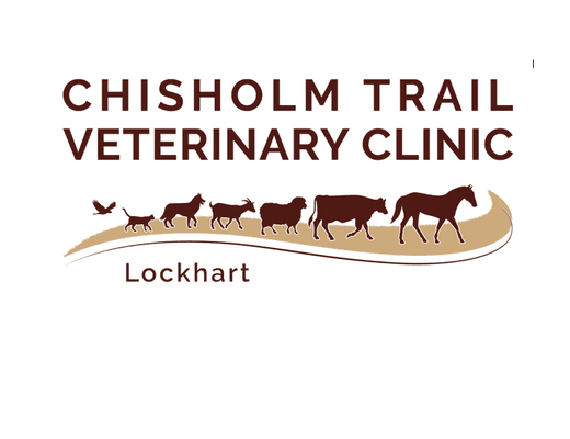 Chisholm Trail Veterinary Clinic of Lockhart