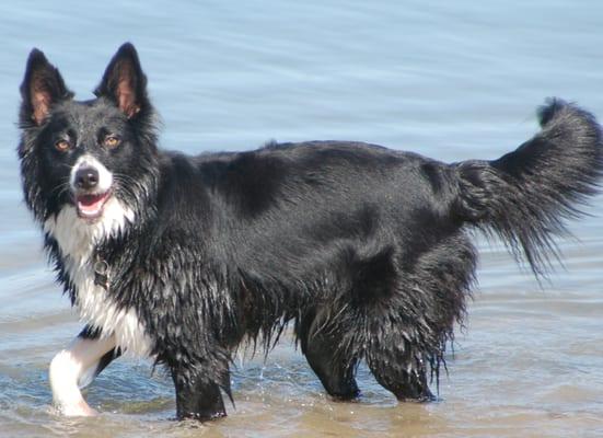 Zoe loving her day at the lake!