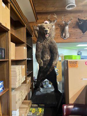 This is a huge stuffed bear inside the store.