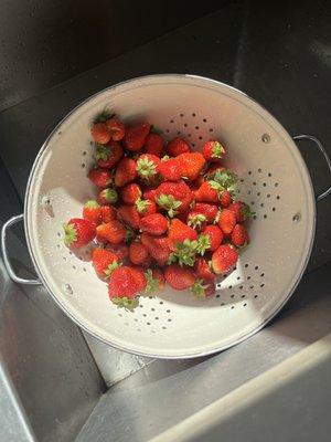 Beautiful local strawberries, making a compote topping for cheesecake