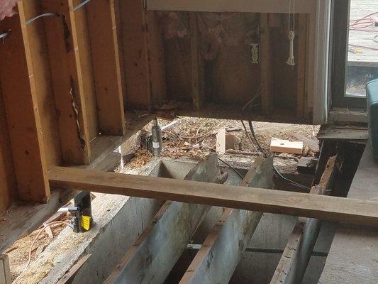 Structural repairs due to rotting joists. Never hesitate when it comes to water damage.