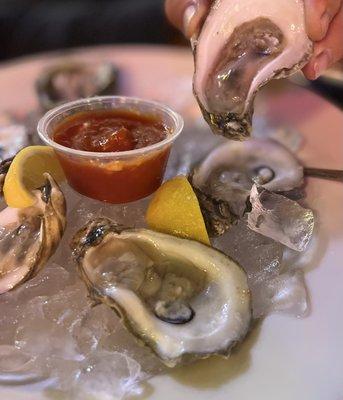 Blue point oysters