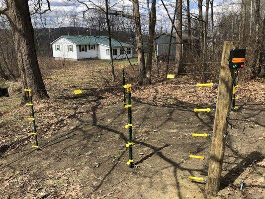 Electric fence for bee hive.