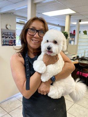 Kiwi had his first Asian fusion cut with Lisa from Dee's All Breed Grooming.   Full Dog Groom (Includes Haircut)