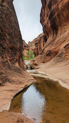 Red Reef Trail