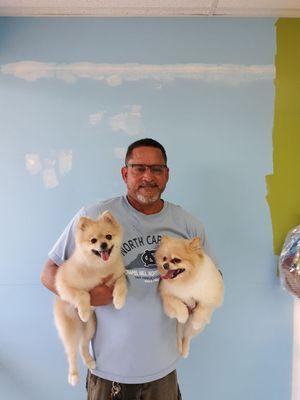 Simon and Janet th4 pomeranians and their Daddy.