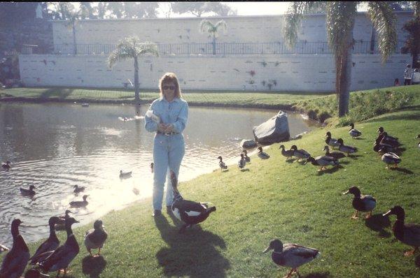 1993 when you could feed the ducks and enjoy the grassy area