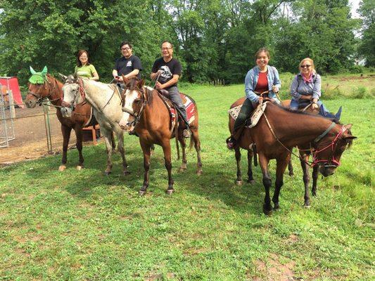 Lovely horses