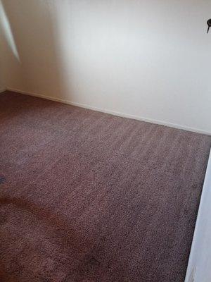 One Stop Carpet & Upholstery Cleaning