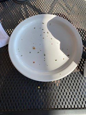 Empty plate