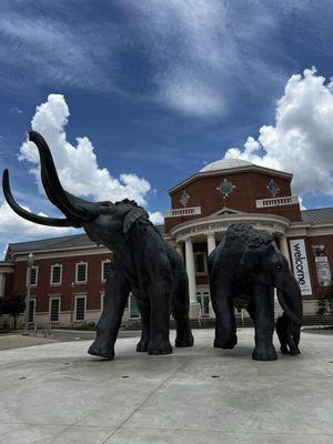 Elephants at the entrance