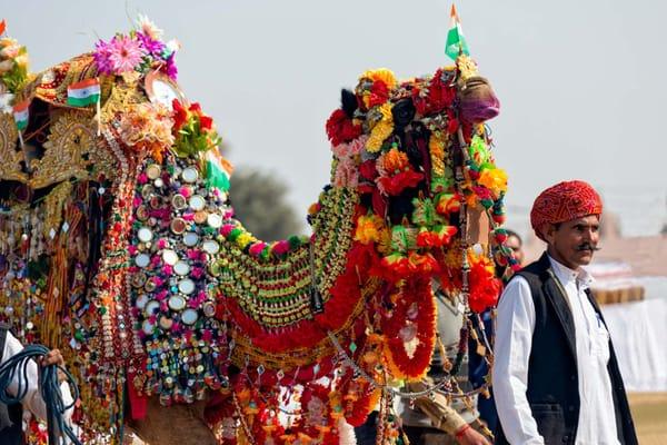 Bikaner Camel Festival in Rajasthan, India.  Photo courtesy of Pat Spector