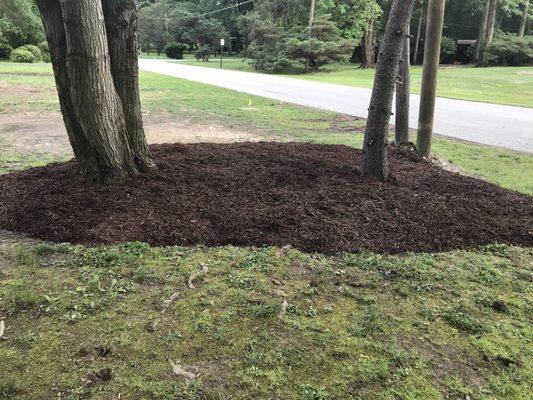 Edging, weed barrier and new mulch