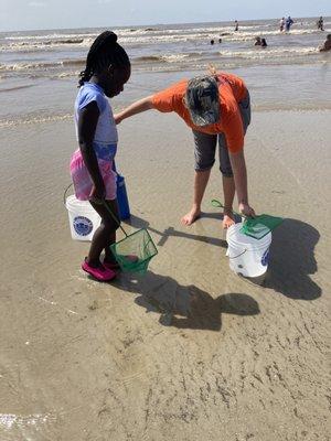 Catching Sea Critters