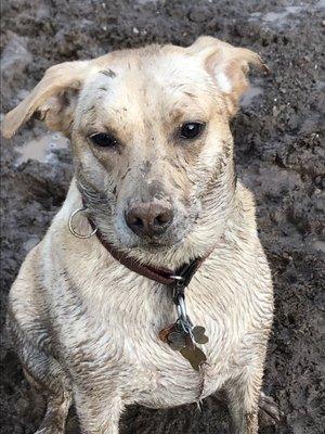 Therapeutic mud bath