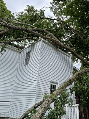 Emergency tree removal