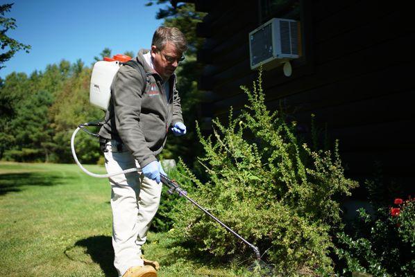 Service Professional treating shrubbery