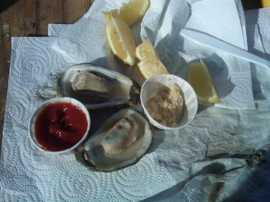 shucked steamed oysters with all the extras