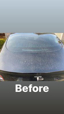 Tesla Model 3 before