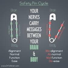 MISALIGNMENT OF THE SPINE CAN CAUSE DISRUPTION IN THE NERVOUS SYSTEM