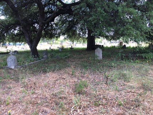 Graves beneath the oak trees