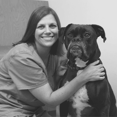 Dr. Nicole Mattes has more than 10 years of experience serving St. Louis and South City pets!