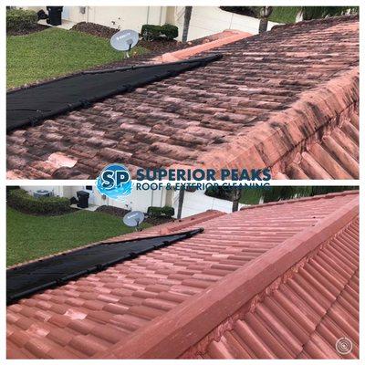 Tile roof cleaning Before and After