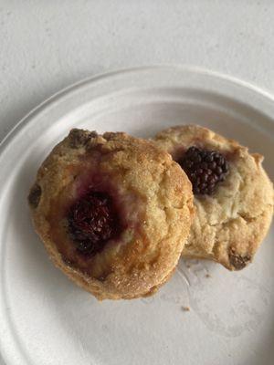 Gluten free scones! Delicious!!!