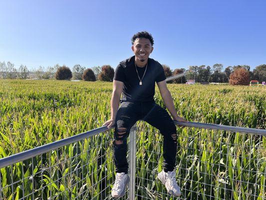 Petaluma Pumpkin Patch And Amazing Corn Maze