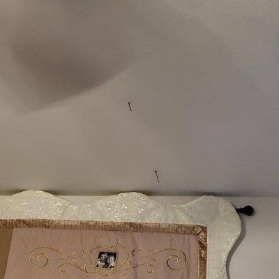 Termite tubes directly over my bed!