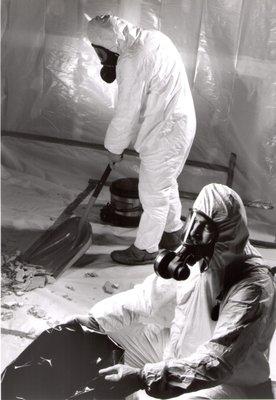 Asbestos Abatement Services